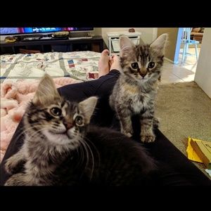 Meet your Posher, Jordan